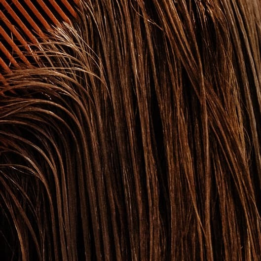 Syracuse staycation refresh at Salon Presley in Cicero, NY